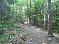 Elwell Trail NH 2010 085